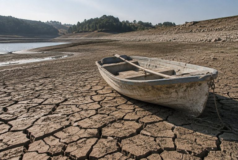 Global Climate Change
