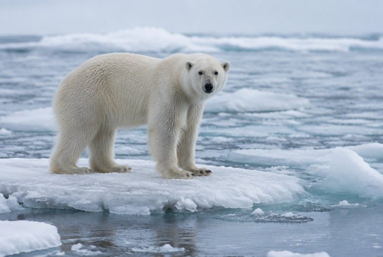Global Warming