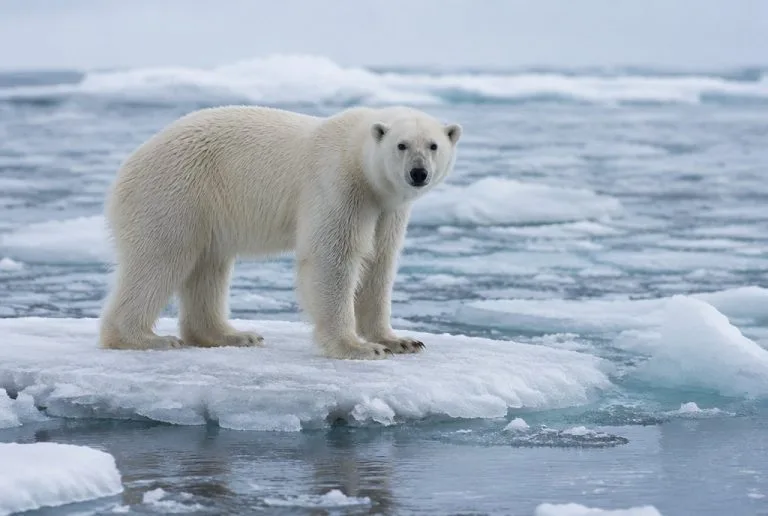 Global Warming